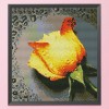 Yellow rose in the grid - 11CT Stamped Cross Stitch - 28*30cm