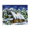 14CT Stamp Cross Stitch Kits Winter 29 X 22cm  29*22CM