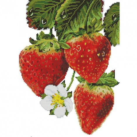 Strawberry Flowers - 11CT Stamped Cross Stitch - 36x46cm