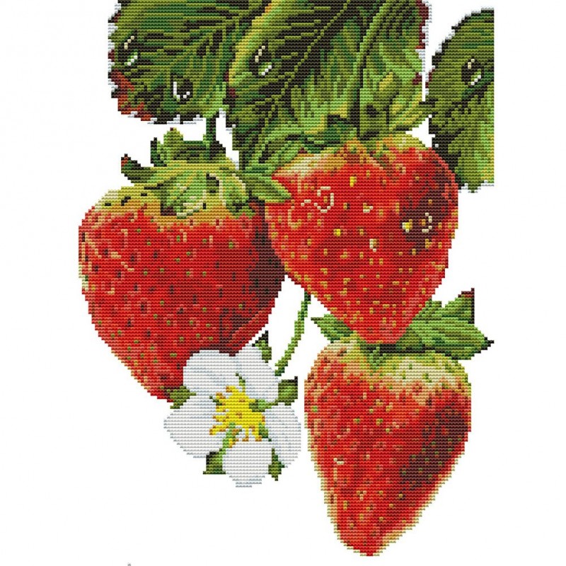 Strawberry Flowers -...