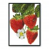 Strawberry Flowers - 11CT Stamped Cross Stitch - 36x46cm