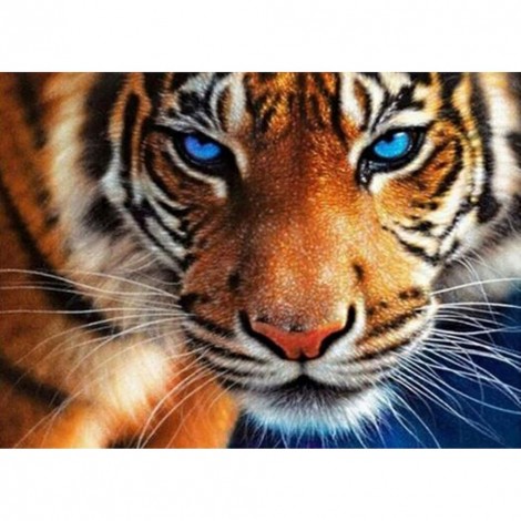 Tiger Cross Stitch DIY Printed Canvas Embroidery 14CT 46x36cm (SZX005)