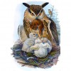 Animal - 11CT Stamped Cross Stitch - 48x65cm