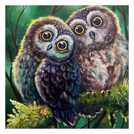 Owl Birds - 11CT Stamped Cross Stitch - 48x48cm