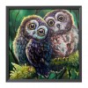 Owl Birds - 11CT Stamped Cross Stitch - 48x48cm