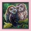 Owl Birds - 11CT Stamped Cross Stitch - 48x48cm