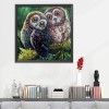 Owl Birds - 11CT Stamped Cross Stitch - 48x48cm