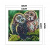 Owl Birds - 11CT Stamped Cross Stitch - 48x48cm