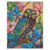 Owl - 11CT Stamped Cross Stitch - 40x50cm