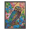 Owl - 11CT Stamped Cross Stitch - 40x50cm