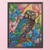 Owl - 11CT Stamped Cross Stitch - 40x50cm