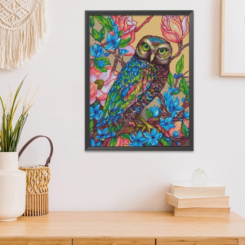 Owl Birds - 11CT Sta...