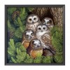 Owl Birds - 11CT Stamped Cross Stitch - 48x48cm