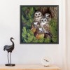 Owl Birds - 11CT Stamped Cross Stitch - 48x48cm