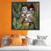 Owl Birds - 11CT Stamped Cross Stitch - 48x48cm