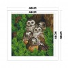 Owl Birds - 11CT Stamped Cross Stitch - 48x48cm