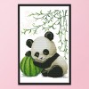 Baby Panda - 14CT Stamped Cross Stitch - 33x43cm