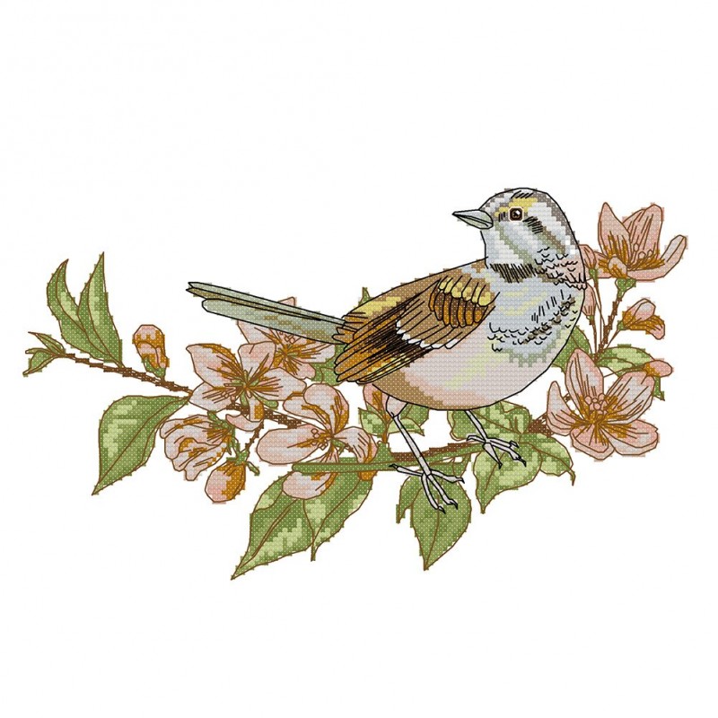 Bird on branch - 14C...