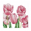 Pink tulip - 14CT Stamped Cross Stitch - 33*33cm