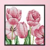 Pink tulip - 14CT Stamped Cross Stitch - 33*33cm