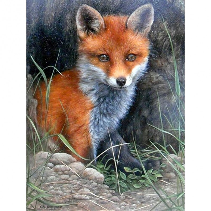 Red Fox - 11CT Stamp...
