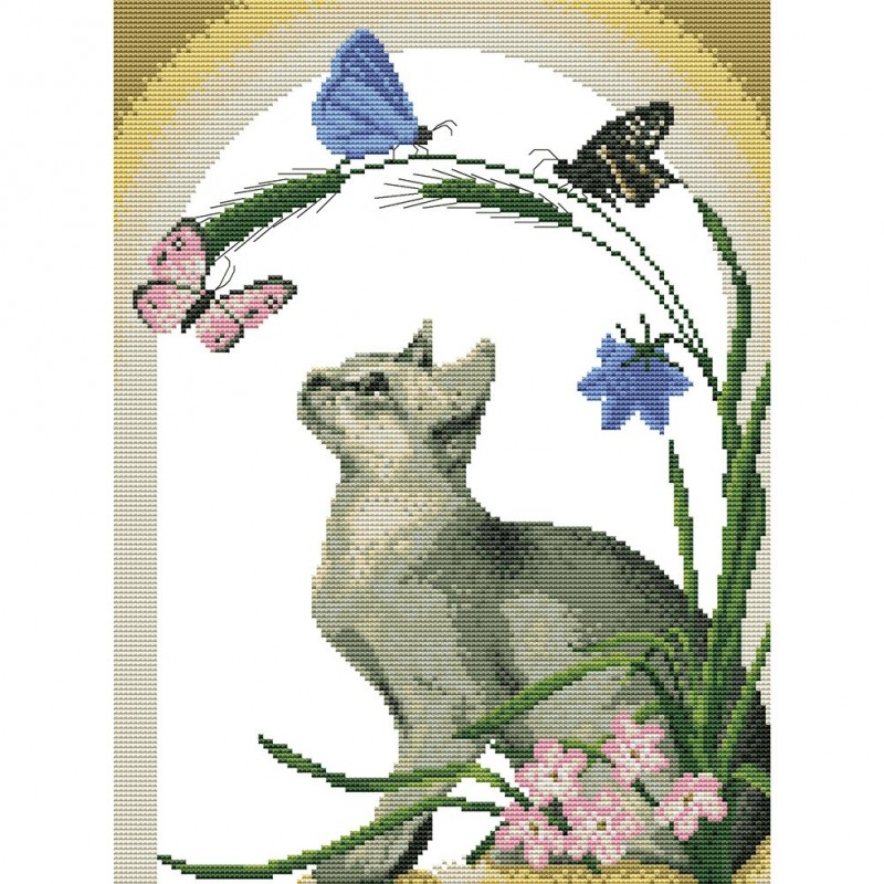 Cat and butterfly - ...
