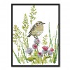 A Bird - 14CT Stamped Cross Stitch - 23*29cm