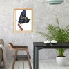 Butterfly - 14CT Stamped Cross Stitch - 30x23cm