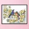 Birds And Flowers - 14CT Stamped Cross Stitch - 39*33cm