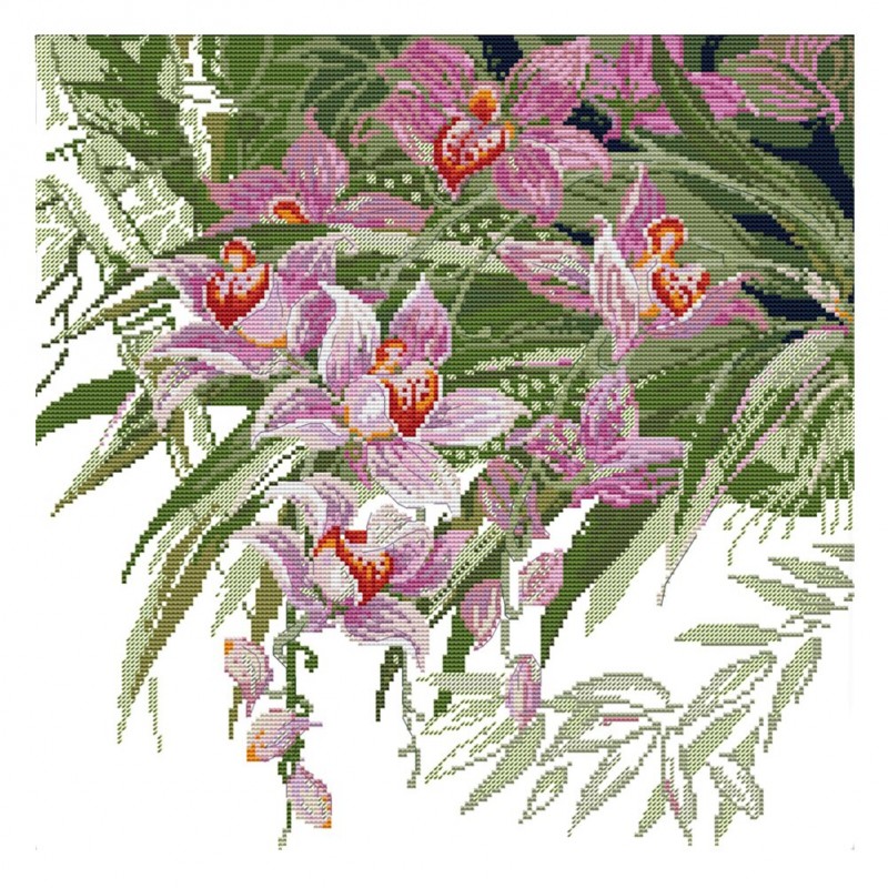 Orchid - 14CT Stampe...