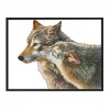 Wolf Kiss - 14CT Stamped Cross Stitch - 41*35cm