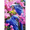 Animals 14CT Stamped Cross Stitch Needlework Embroidery (SZX033 Parrots)