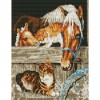 11CT Stamped Cross Stitch Kits Horse 45 X 35cm