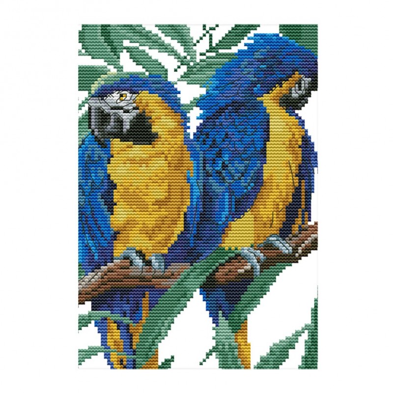 Blue head parrot - 1...