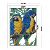 Blue head parrot - 14CT Stamped Cross Stitch - 19*28cm