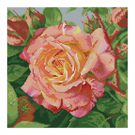 a rose - 14CT Stamped Cross Stitch - 30*30cm