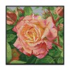 a rose - 14CT Stamped Cross Stitch - 30*30cm