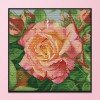 a rose - 14CT Stamped Cross Stitch - 30*30cm