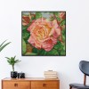 a rose - 14CT Stamped Cross Stitch - 30*30cm