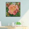 a rose - 14CT Stamped Cross Stitch - 30*30cm