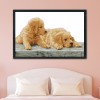 Two Brothers - 14CT Stamped Cross Stitch - 44*30cm