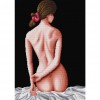 Back view - 14CT Stamped Cross Stitch - 41x54cm