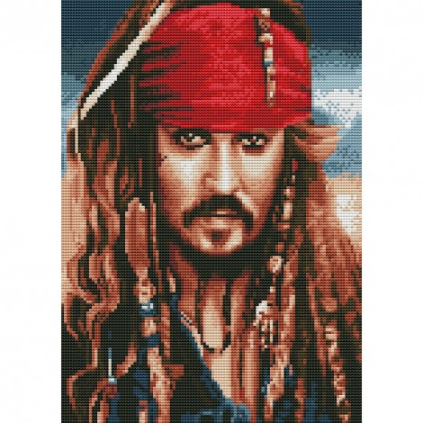 Aspirant Pirate - 11CT Stamped Cross Stitch - 30x40cm