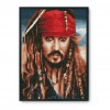 Aspirant Pirate - 11CT Stamped Cross Stitch - 30x40cm