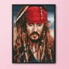 Aspirant Pirate - 11CT Stamped Cross Stitch - 30x40cm