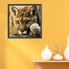 Animal - 14CT Counted Cross Stitch - 40x40cm