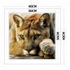 Animal - 14CT Counted Cross Stitch - 40x40cm