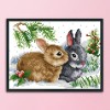 Rabbit - 11CT Stamped Cross Stitch - 33?&aacute;24cm