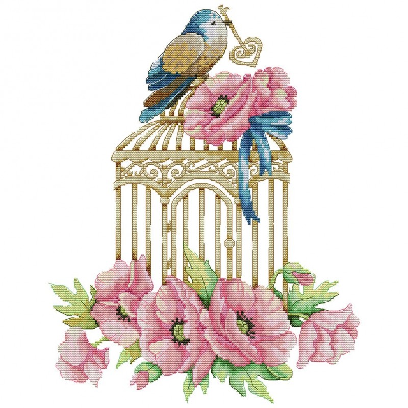 Bird cage and Flower...