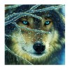 Animal - 14CT Counted Cross Stitch - 40x40cm